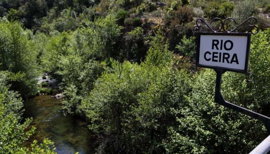 Limpeza de Margens e Regularização Pontual do Leito do Rio Ceira
